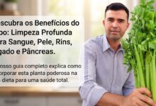 O Suco de Aipo Verde